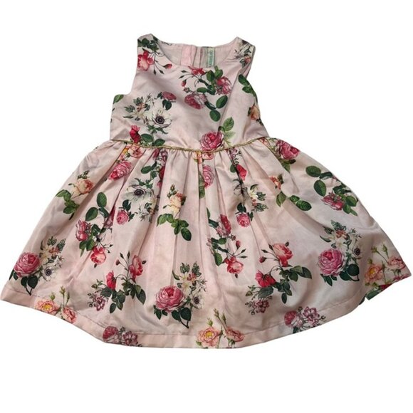 Pantaloons baby dress rose pink rose floral pattern formal dress girls 9-12 mont - Picture 1 of 5